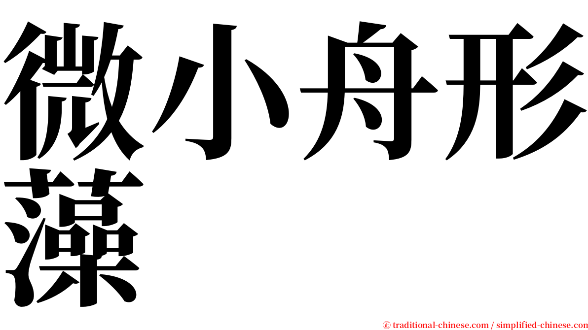 微小舟形藻 serif font