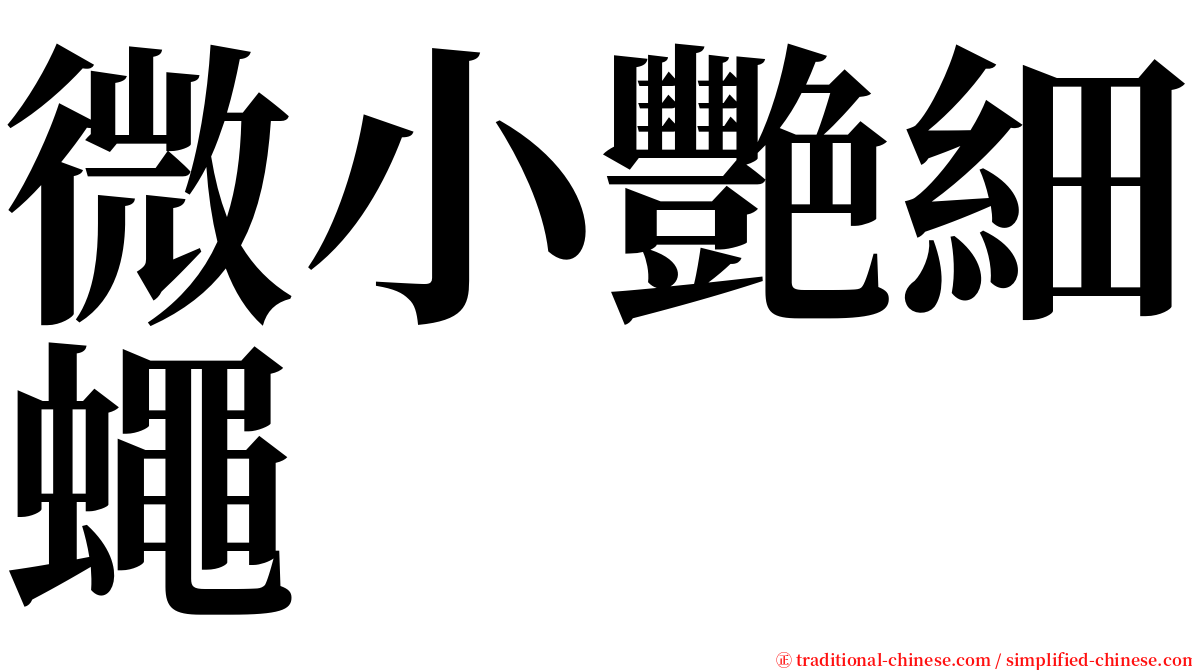 微小艷細蠅 serif font