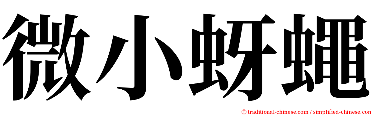 微小蚜蠅 serif font