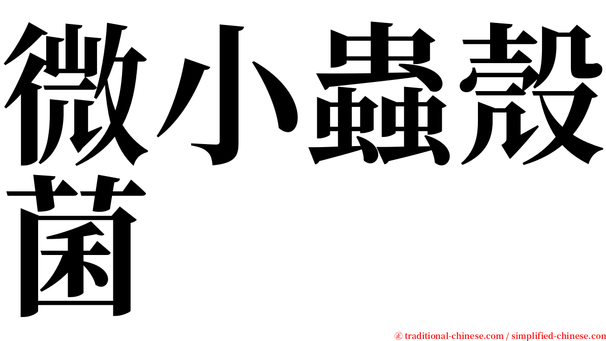 微小蟲殼菌 serif font