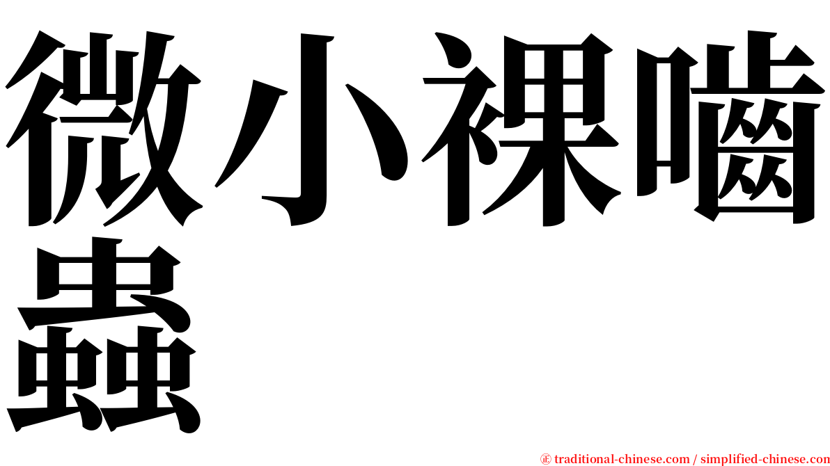 微小裸嚙蟲 serif font