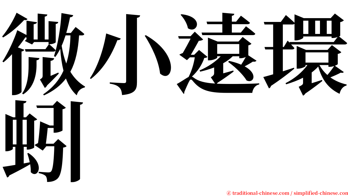 微小遠環蚓 serif font