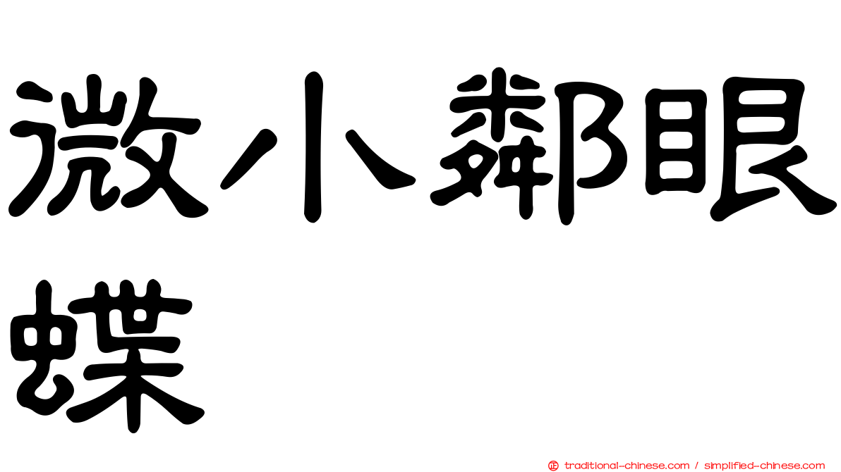 微小鄰眼蝶