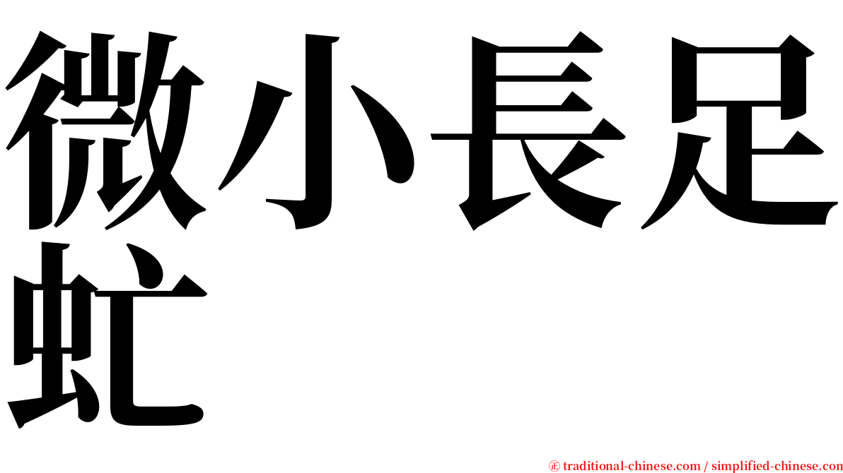 微小長足虻 serif font