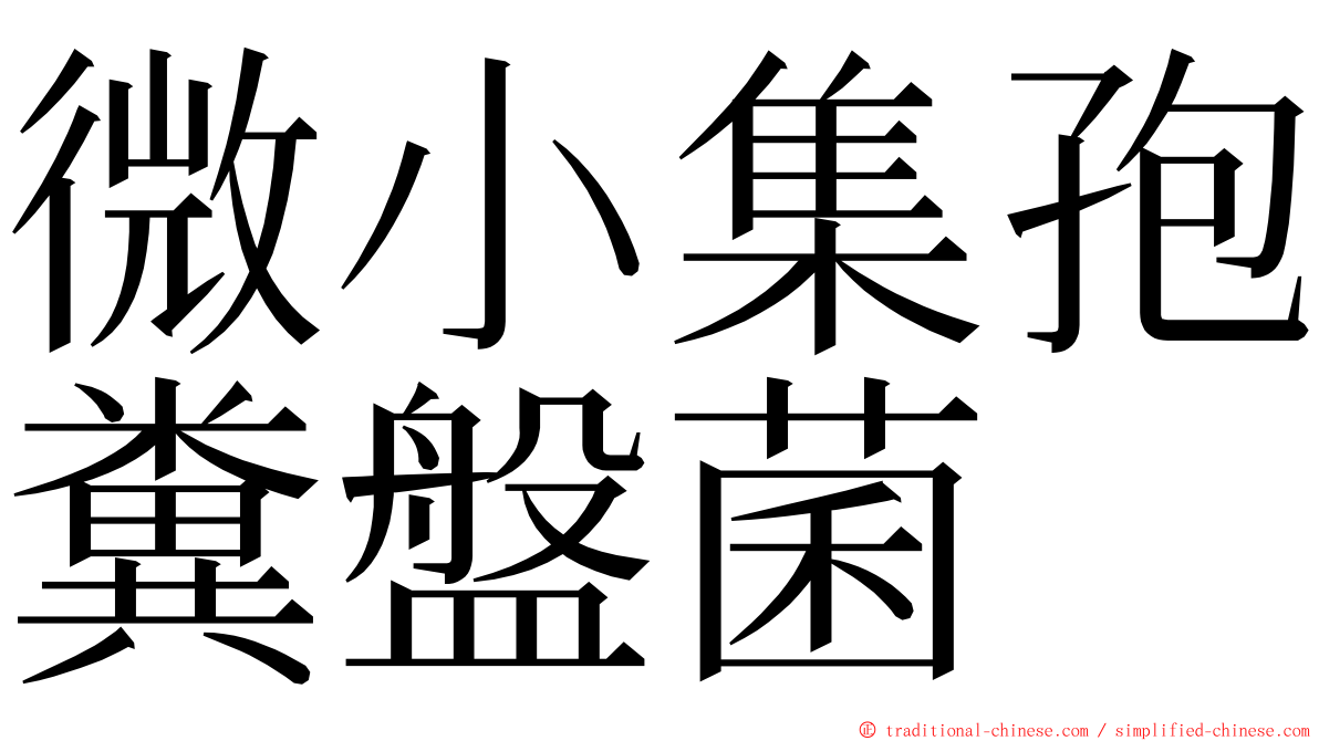 微小集孢糞盤菌 ming font