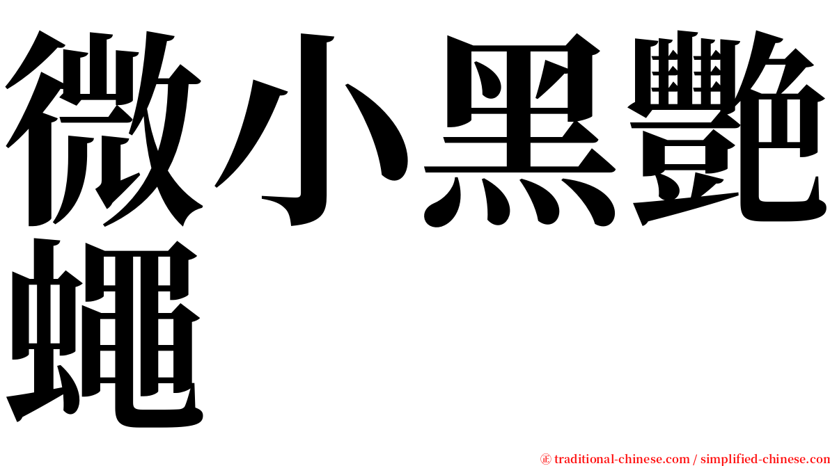 微小黑艷蠅 serif font