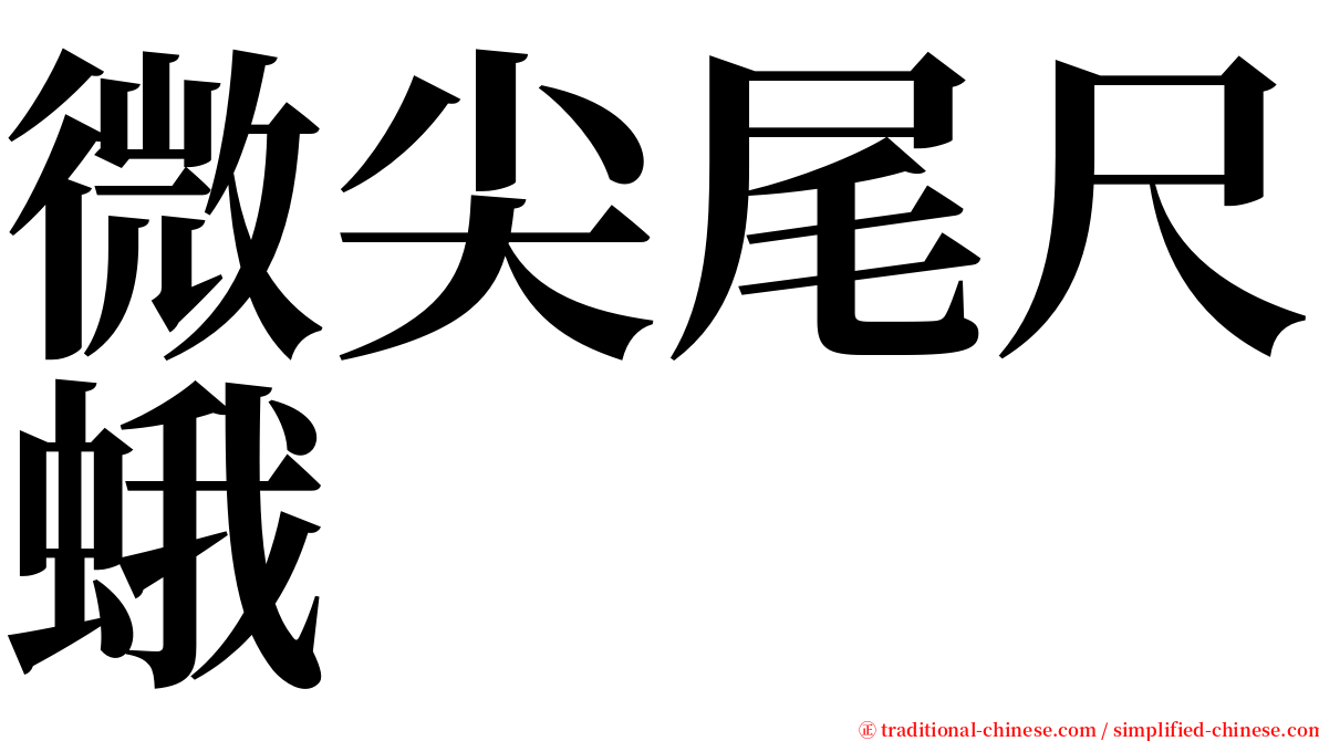 微尖尾尺蛾 serif font