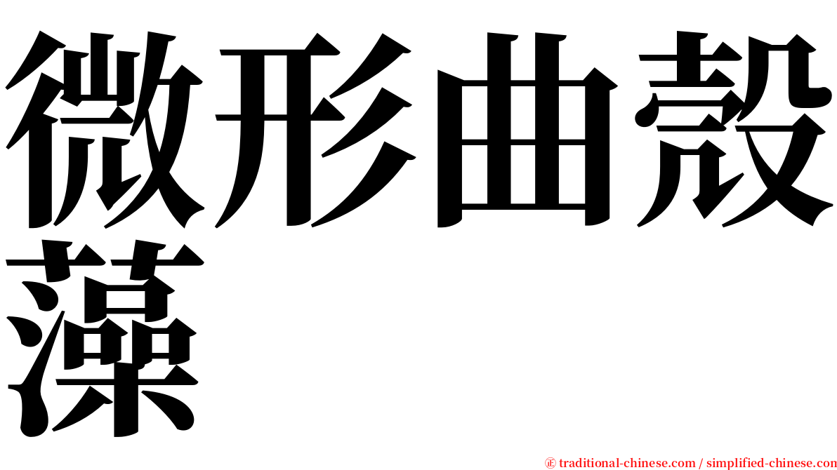 微形曲殼藻 serif font