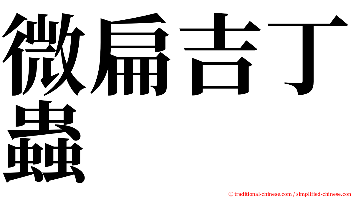 微扁吉丁蟲 serif font