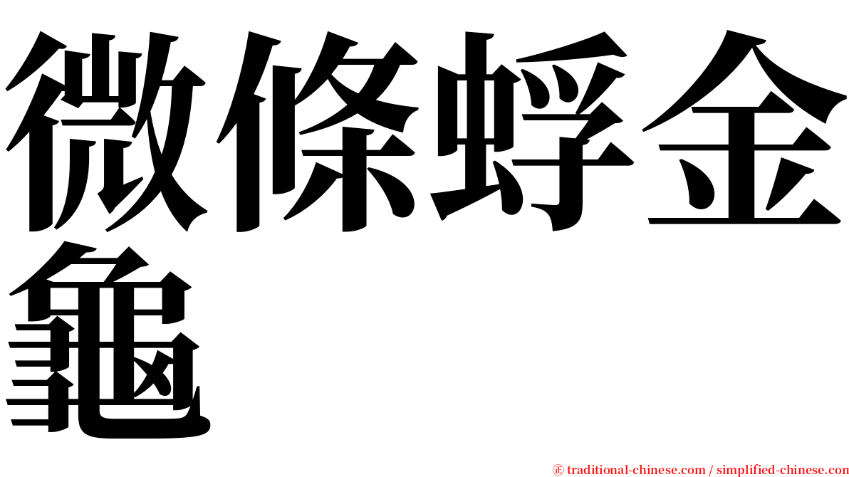 微條蜉金龜 serif font