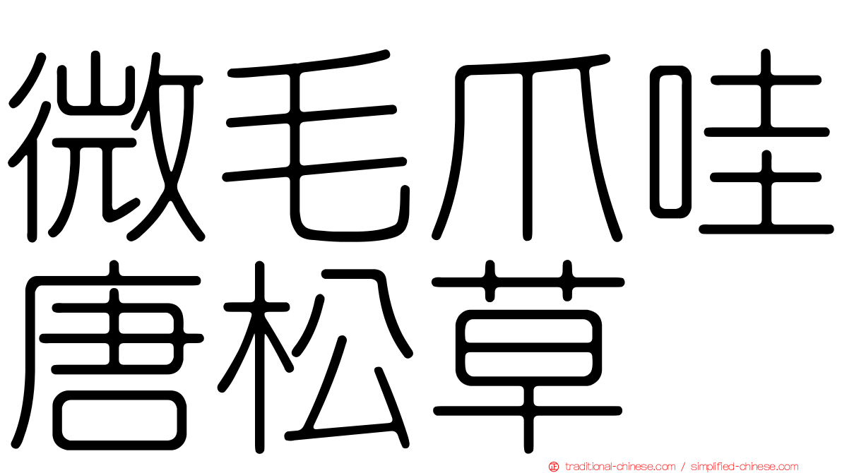 微毛爪哇唐松草