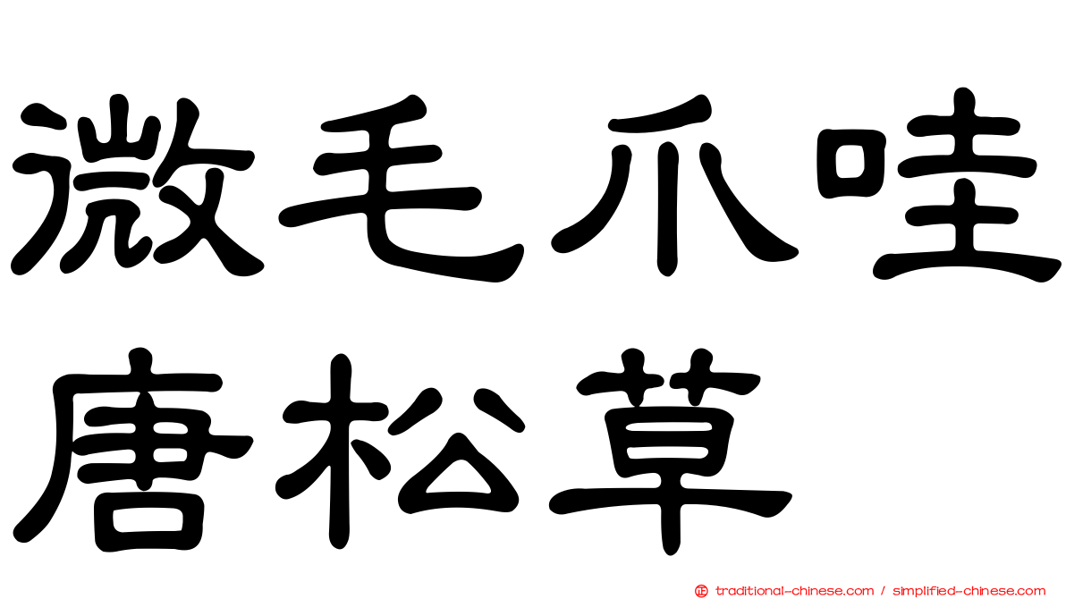 微毛爪哇唐松草
