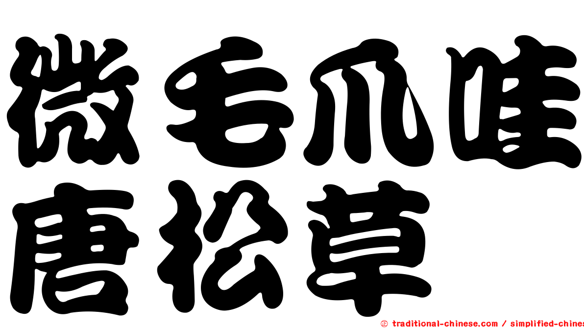 微毛爪哇唐松草