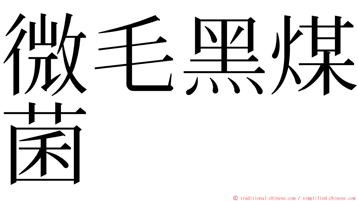 微毛黑煤菌 ming font