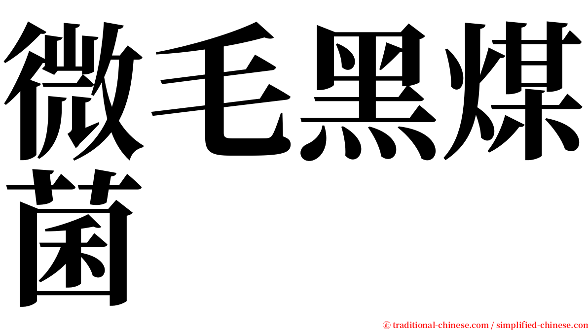 微毛黑煤菌 serif font