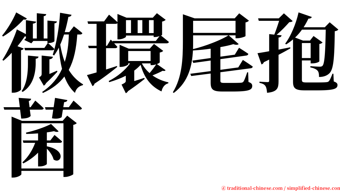 微環尾孢菌 serif font