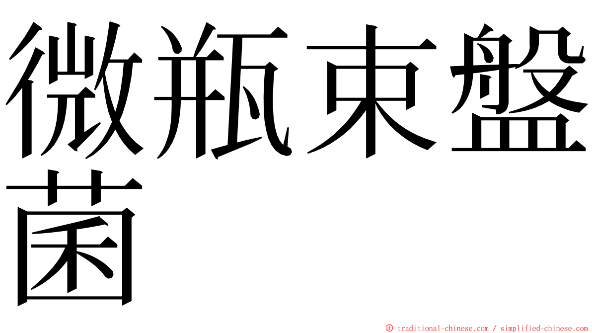 微瓶束盤菌 ming font