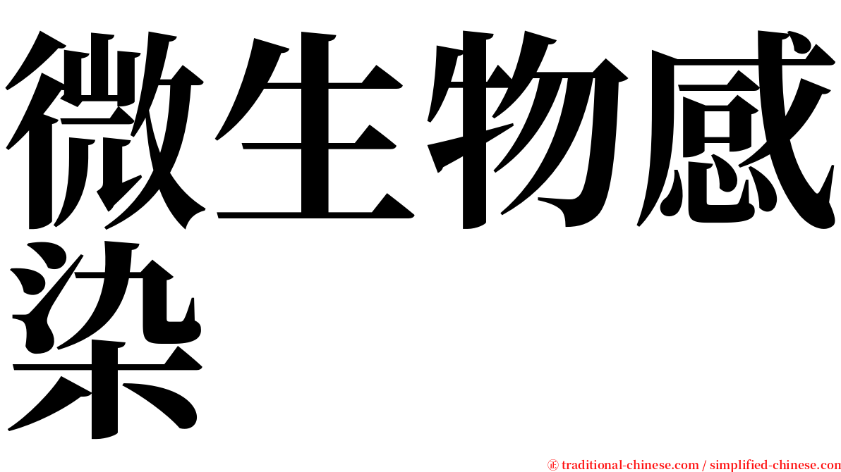 微生物感染 serif font