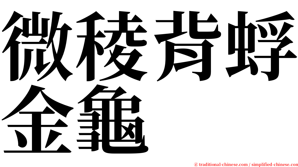 微稜背蜉金龜 serif font