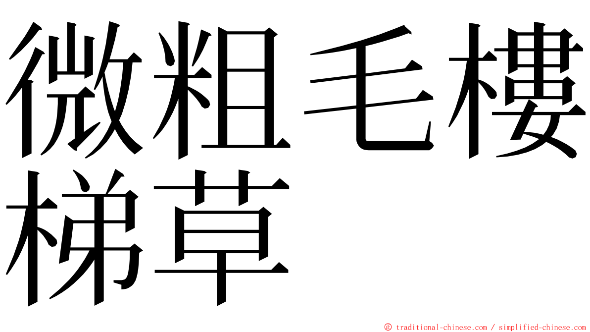 微粗毛樓梯草 ming font