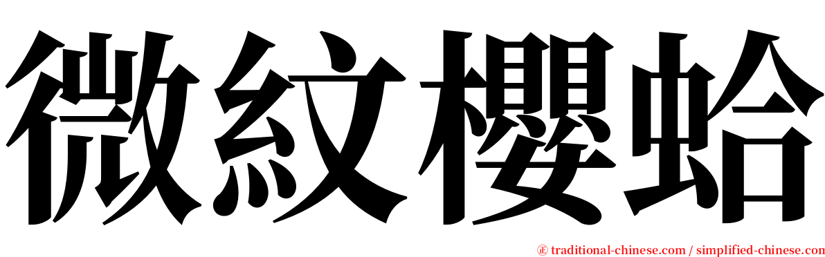 微紋櫻蛤 serif font