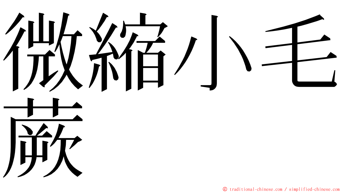 微縮小毛蕨 ming font