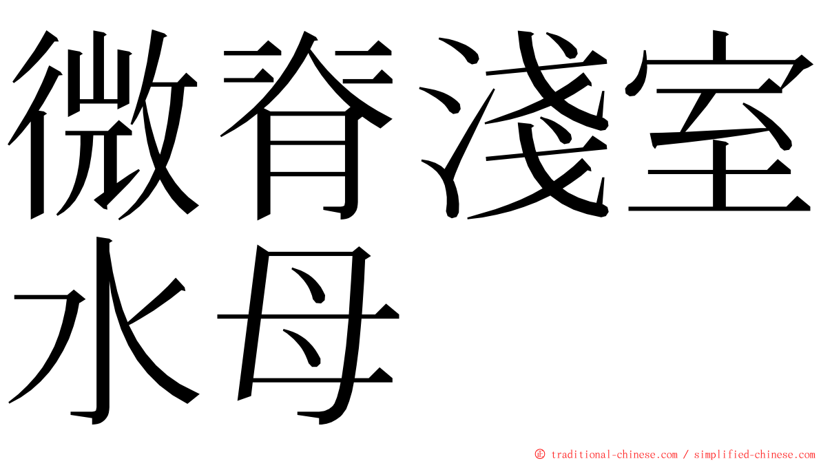 微脊淺室水母 ming font