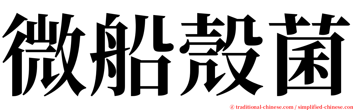 微船殼菌 serif font