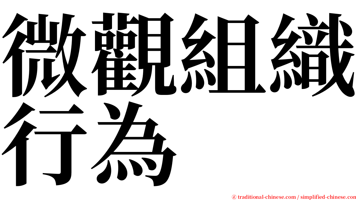 微觀組織行為 serif font