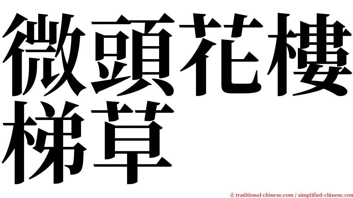 微頭花樓梯草 serif font