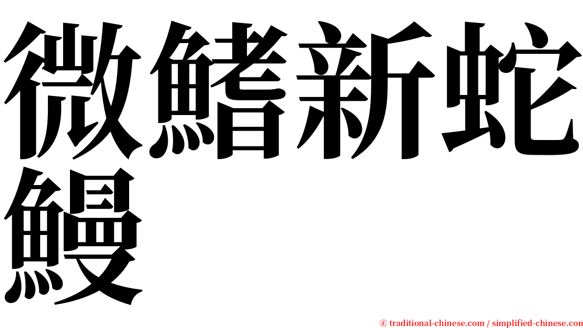 微鰭新蛇鰻 serif font