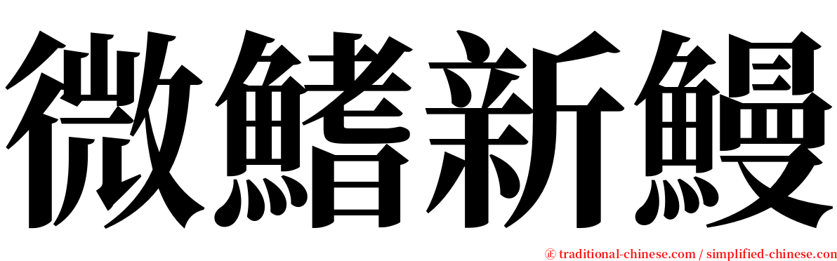 微鰭新鰻 serif font