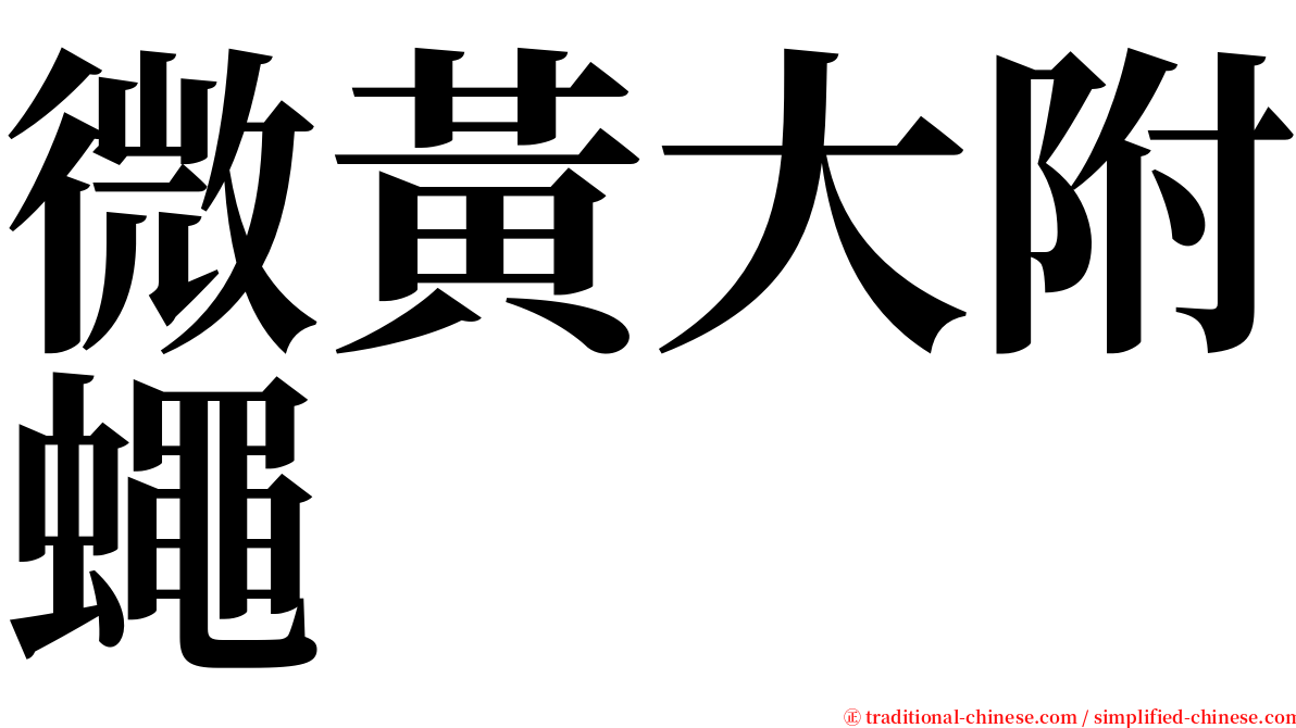 微黃大附蠅 serif font