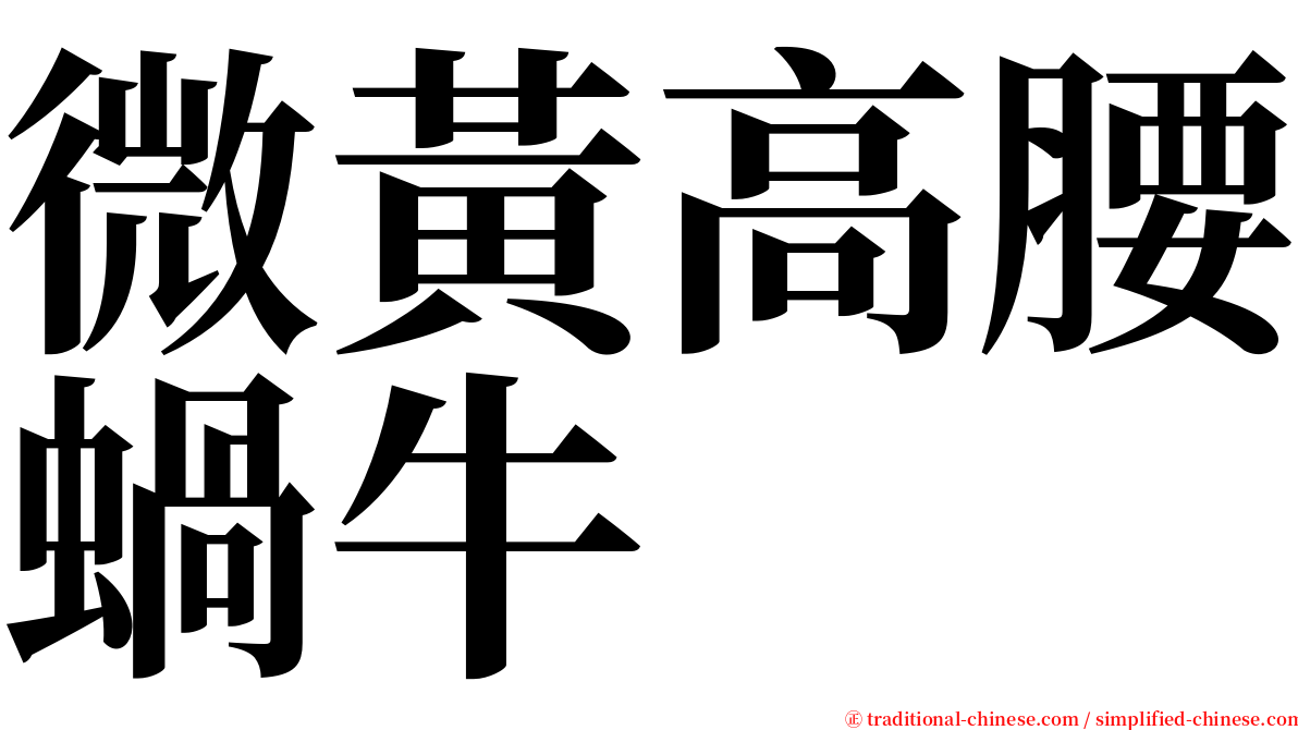 微黃高腰蝸牛 serif font