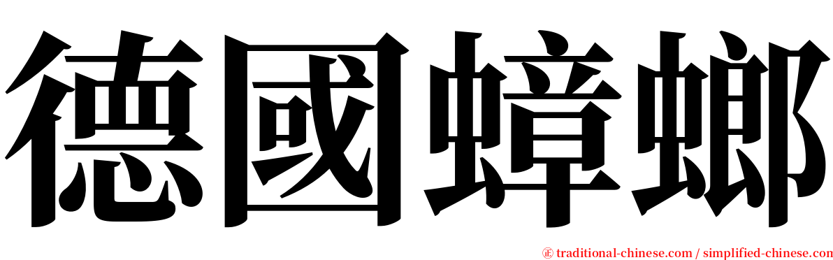 德國蟑螂 serif font