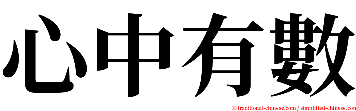 心中有數 serif font