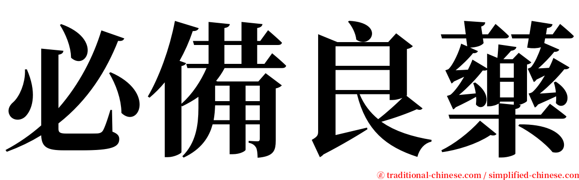 必備良藥 serif font
