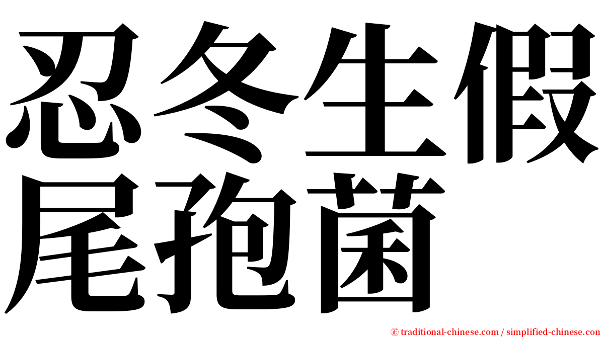 忍冬生假尾孢菌 serif font