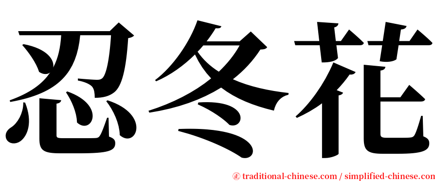 忍冬花 serif font