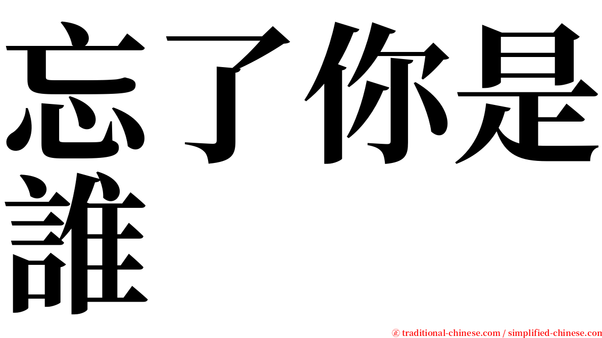 忘了你是誰 serif font