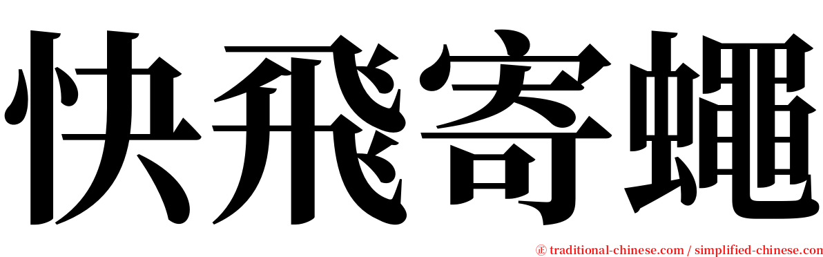 快飛寄蠅 serif font