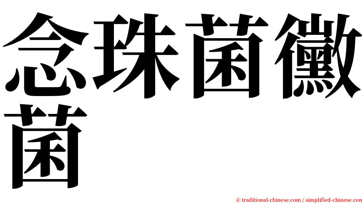 念珠菌黴菌 serif font