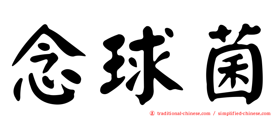念球菌