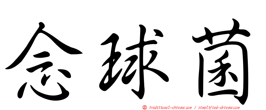 念球菌