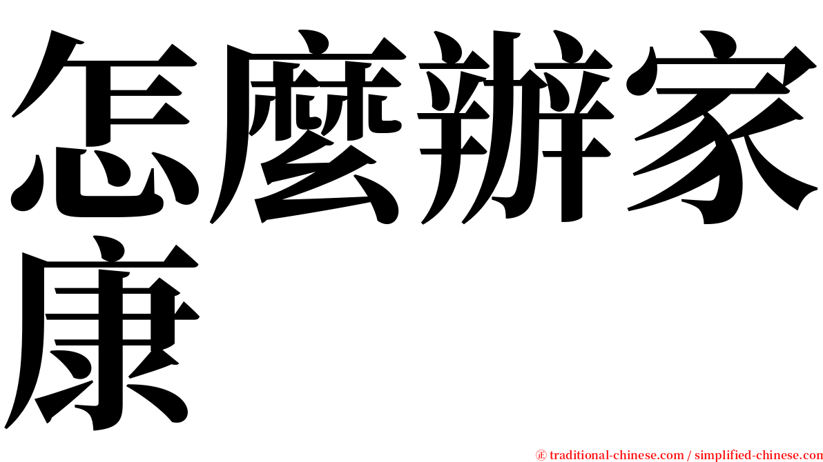 怎麼辦家康 serif font