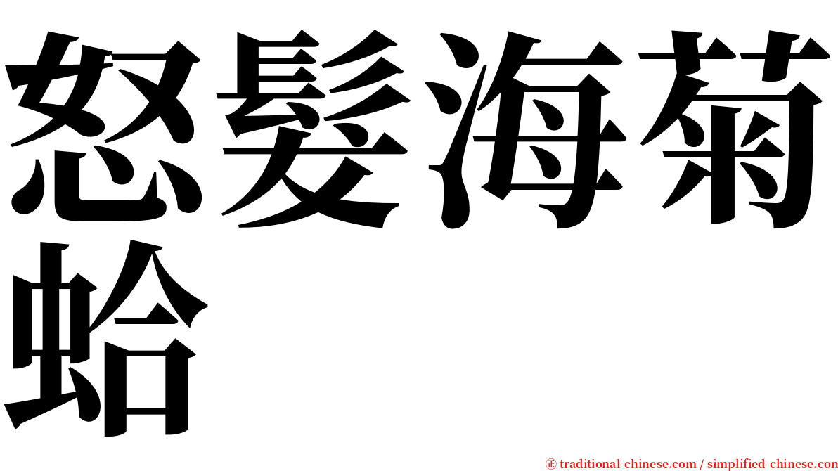 怒髮海菊蛤 serif font