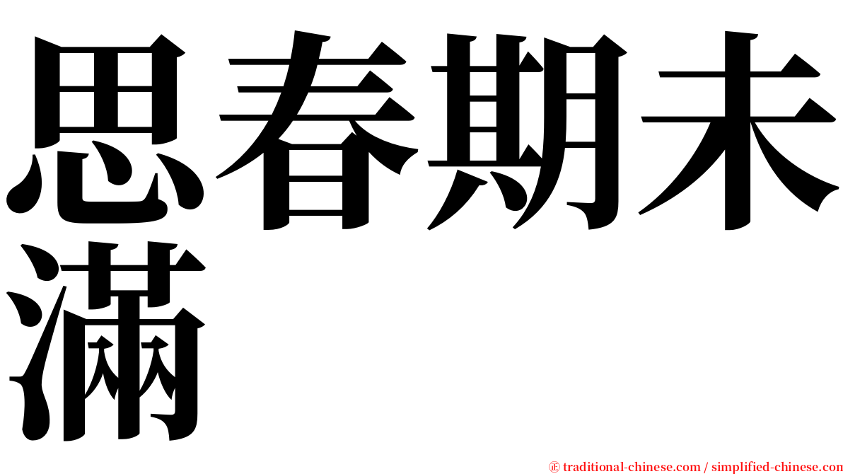 思春期未滿 serif font