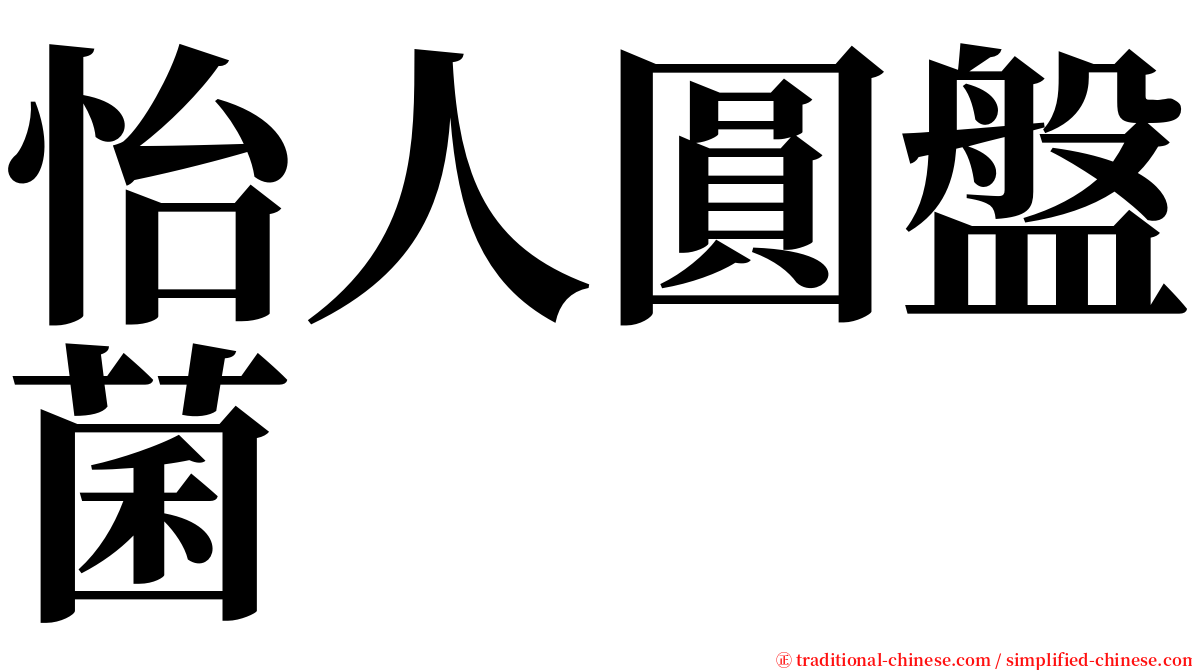 怡人圓盤菌 serif font