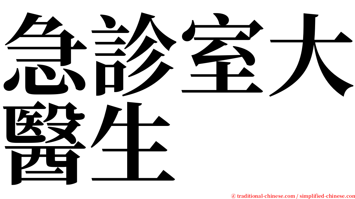 急診室大醫生 serif font