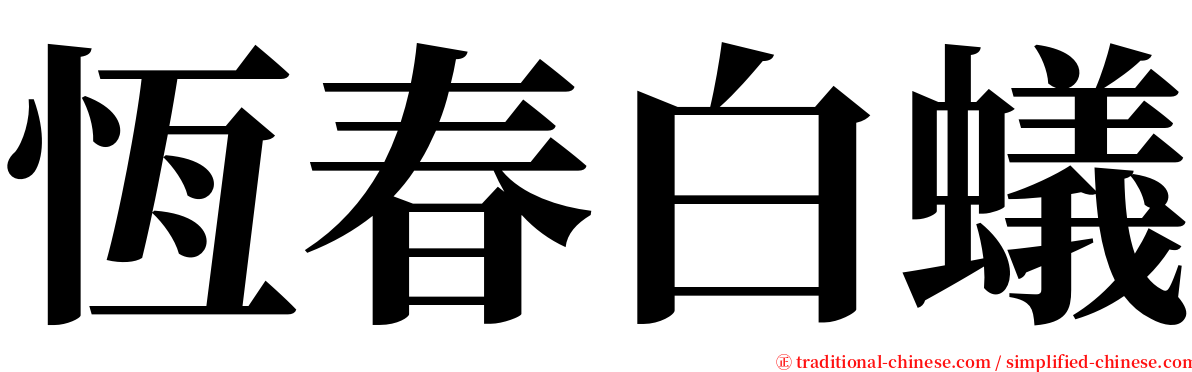 恆春白蟻 serif font